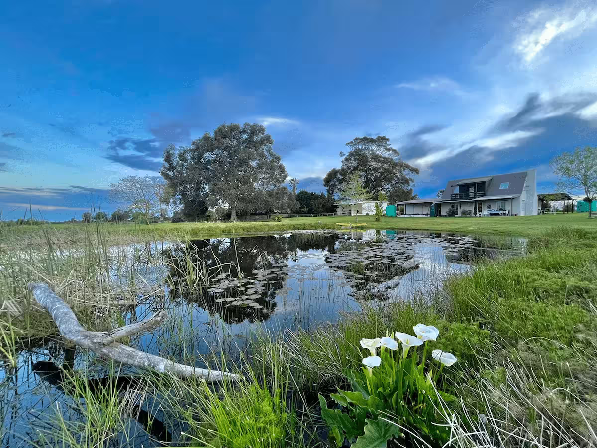 Trpppr - Articles about South Africa - Oakhurst Farm