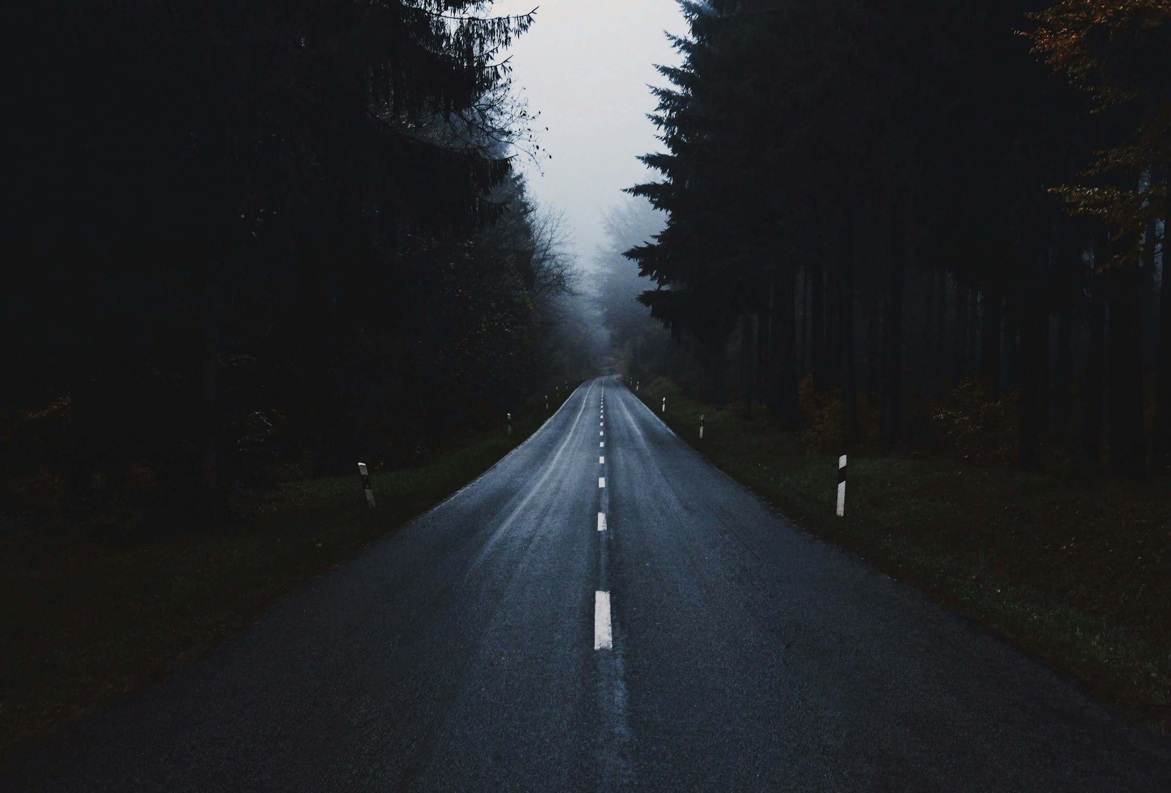 SUV driving through beautiful moody landscape